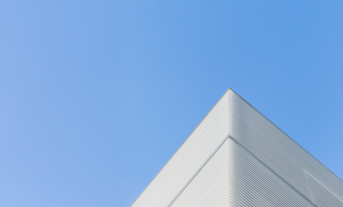 building-corner-with-birds_low