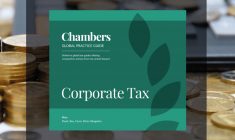 Vanessa Watanabe collaborated on the Chambers Global Practice Guide 2019: «Corporate Tax»