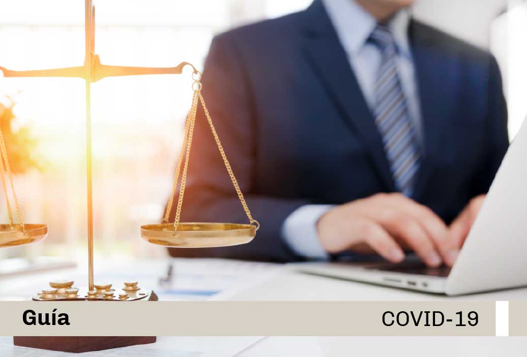 Guía – Mesa de Partes Electrónica del Poder Judicial: Presentación de Escritos en Materia Penal