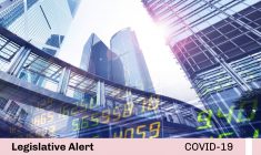 Superintendency of the Securities Market issues rules to call and carry out virtual shareholder and bondholder meetings under Emergency Decree N° 056-2020