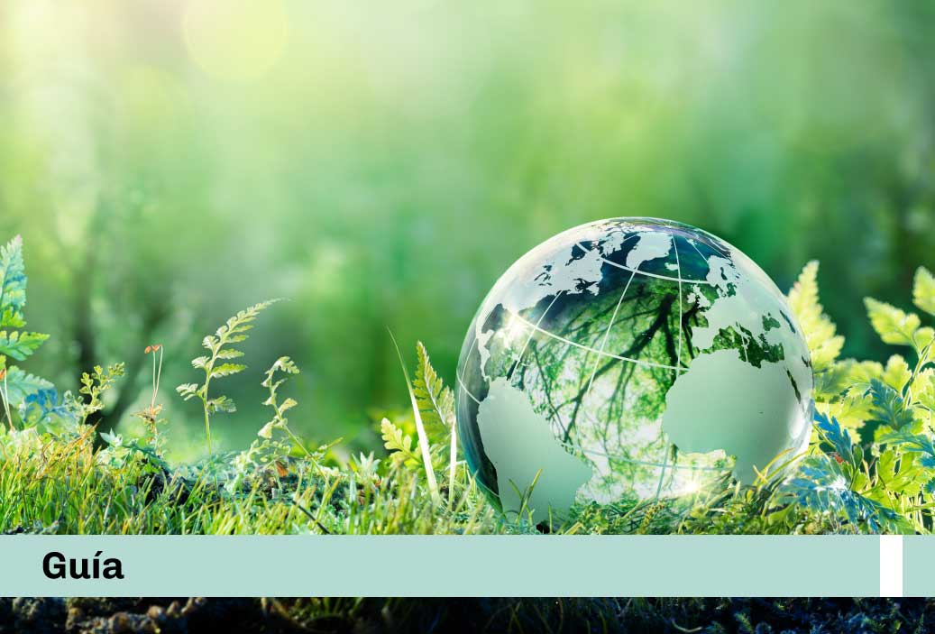 Guía sobre el régimen legal aplicable a las medidas correctivas dictadas por el OEFA