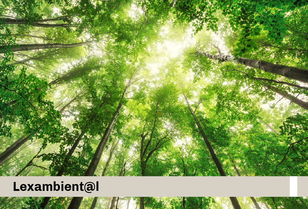 Se aprueba Reglamento de Infracciones y Sanciones en Materia Forestal y de Fauna Silvestre