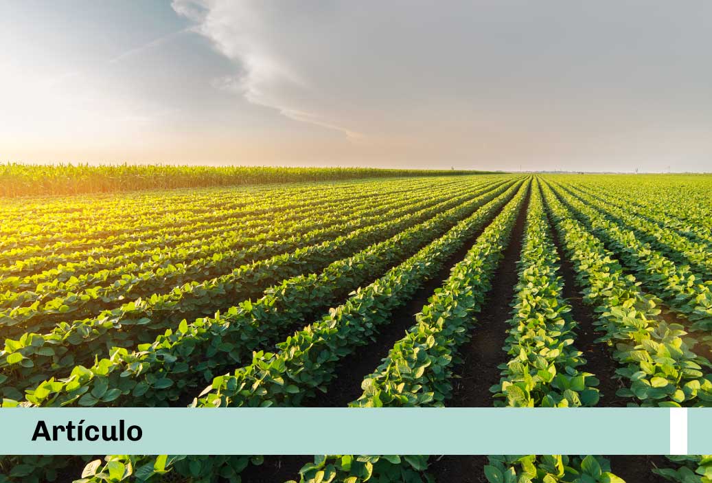 Vanessa Chávarry: «Segunda reforma agraria: retos ambientales en el sector agrario»