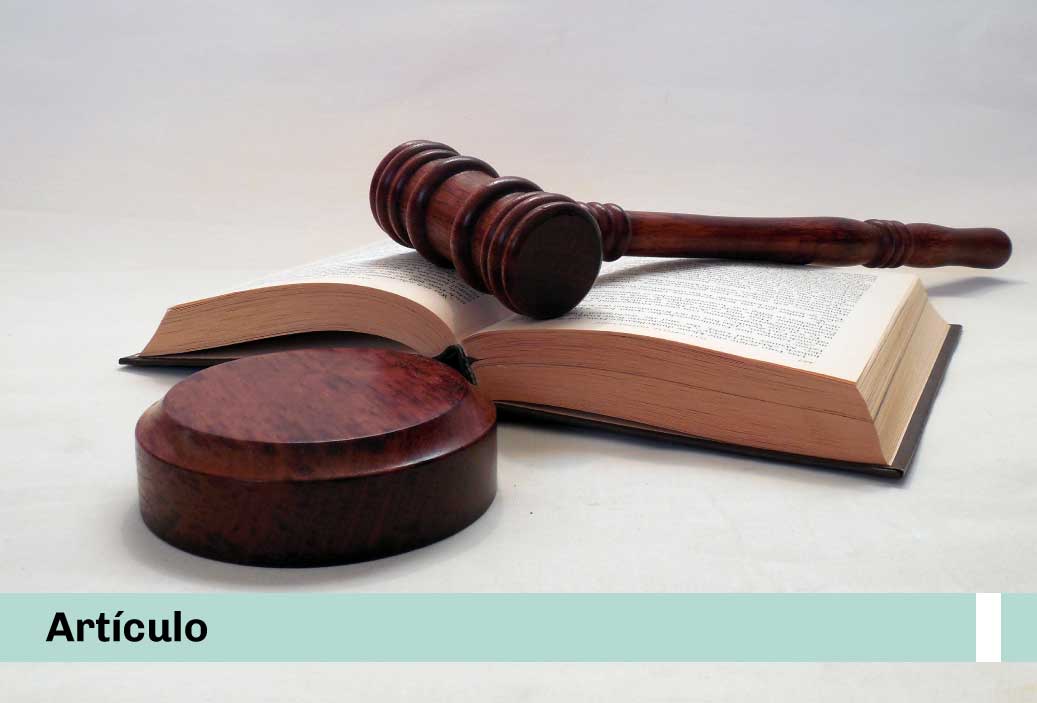 José Miguel Molina escribió: «¿El control de plazo es eficaz? Breve análisis sobre la ineficacia del control del plazo en el marco del artículo 343 del Código Procesal Penal de 2004»