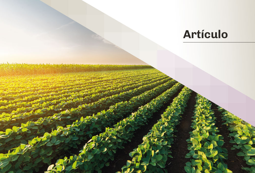 Renzo Grández: «Sector agroexportador: ventas a consignación y valor de exportación»