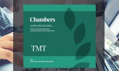 Gerardo Soto y Sebastian Gamarra escribieron para Chambers Global Practice Guide: «TMT»
