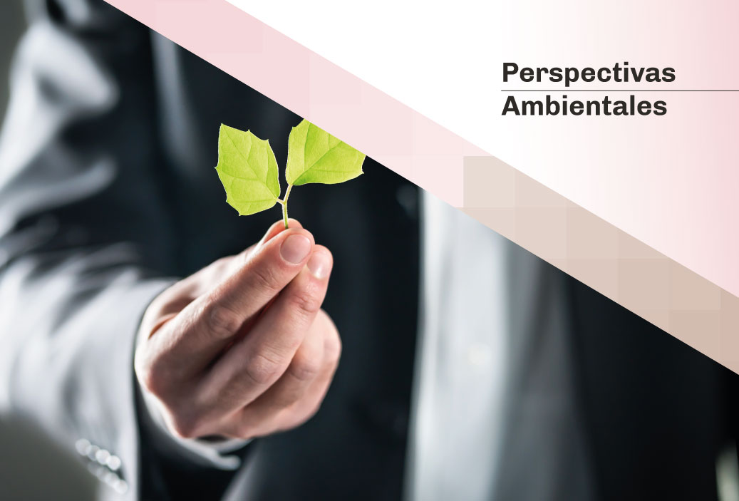 Vanessa Chávarry en el Blog Perspectivas Ambientales: «Aspectos generales del Derecho Ambiental Empresarial»