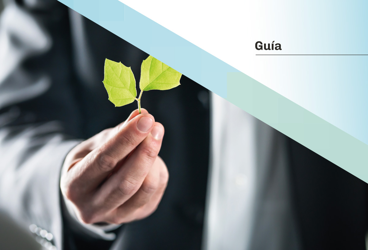 Guía para la gestión de los residuos sólidos