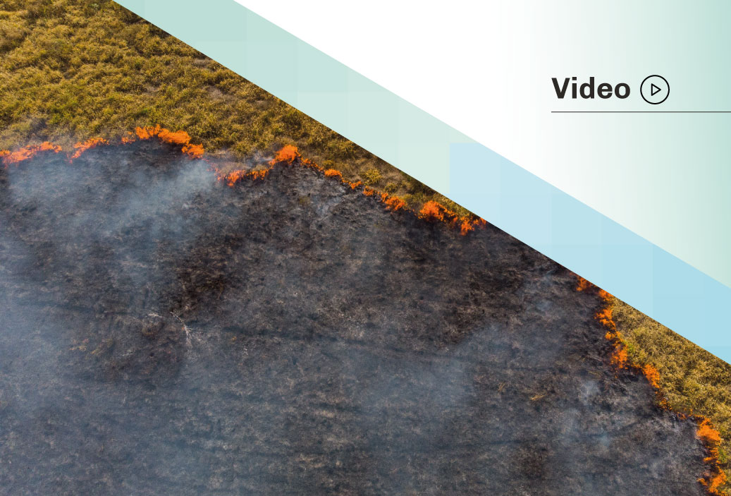 Video: Q&A «Guía para el Reporte de Emergencias Ambientales al OEFA»