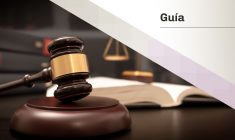 Giovanna García, César Carlin y Raúl Feijóo participaron en la elaboración de la «Guía Legal para Amicus Curiae en América Latina»