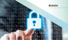 Boletín Privacidad & Protección de Datos
