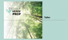 Video: I Taller de Verano Escuela Verde PRCP