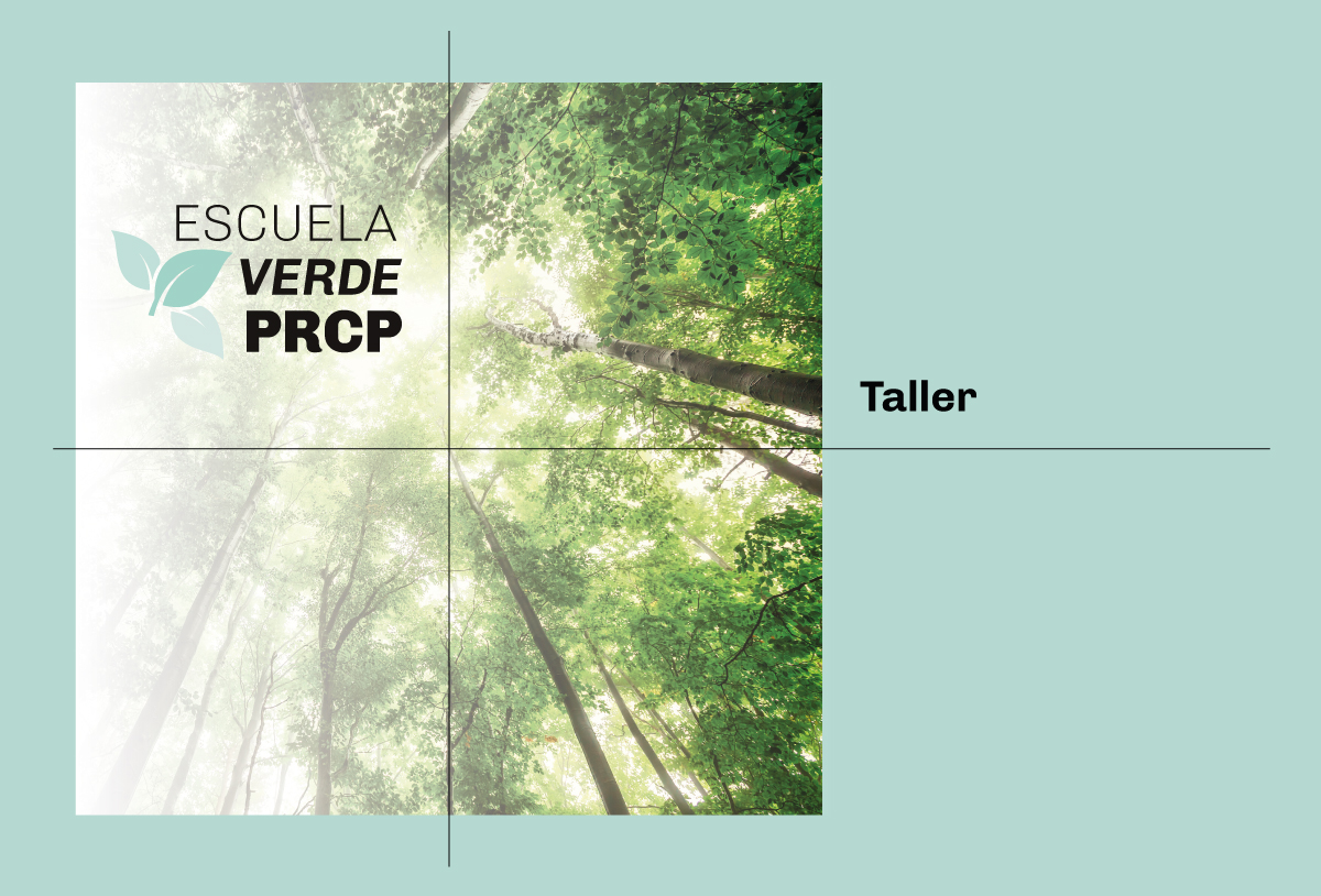 Video: I Taller de Verano Escuela Verde PRCP