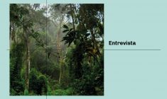 Vanessa Chávarry para LexLatin: «Compliance: Las obligaciones sujetas al Estudio de Impacto Ambiental y a las normas sectoriales en Perú»