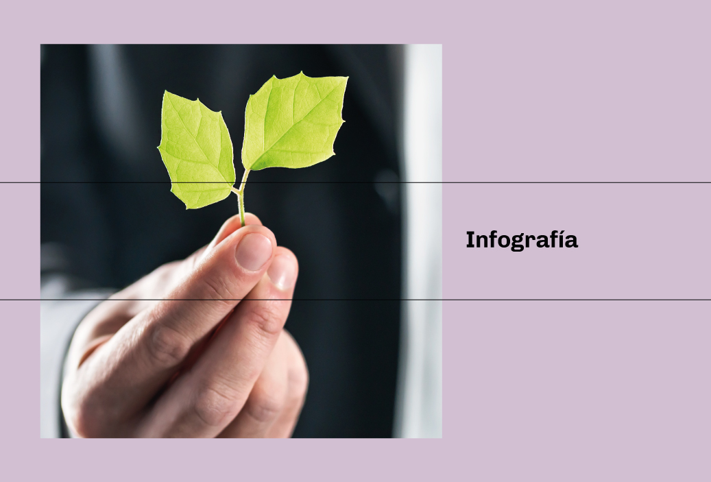 Infografía – Impacto de la suspensión del PUCPA en los procedimientos de certificación ambiental