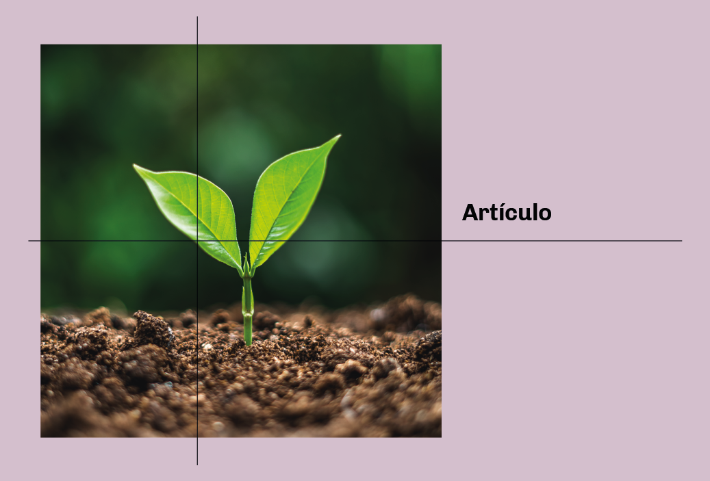 Wendy León escribió para Pólemos: «Aproximaciones al Reglamento Ambiental Agrícola: a la espera de un nuevo marco normativo»